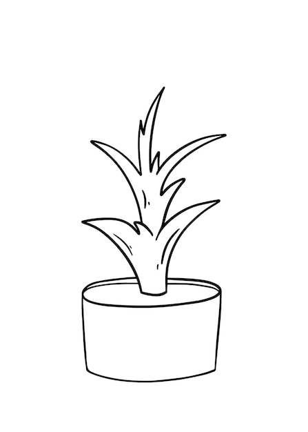 Small tree pot with leaves indoor plant nature forest doodle linear cartoon coloring