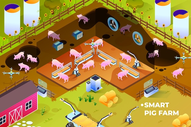 Smart pig farm - illustrazione isometrica