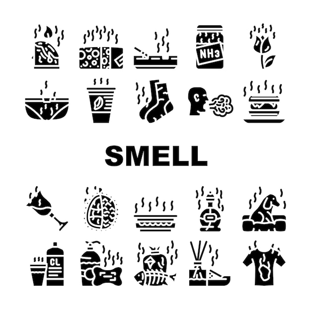 Smell Feel And Sense Collection Icons Set Vector Cheese And Flowers Smoking And Garbage Smell Ammonia And Aroma Candles Durian And Dog Glyph Pictograms Black Illustrations