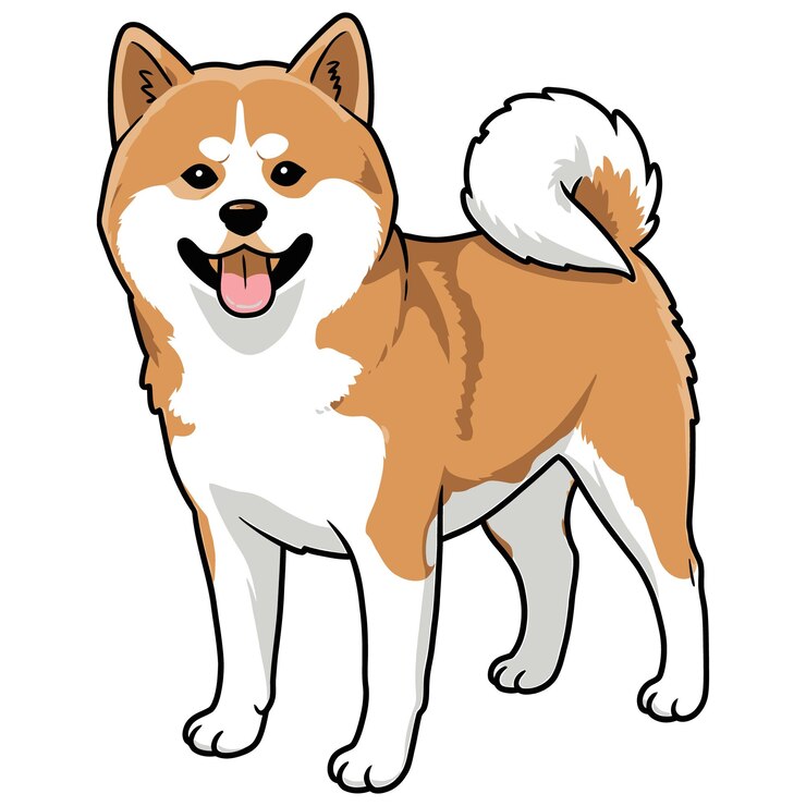 Vector smiling akita inu dog cartoon illustration