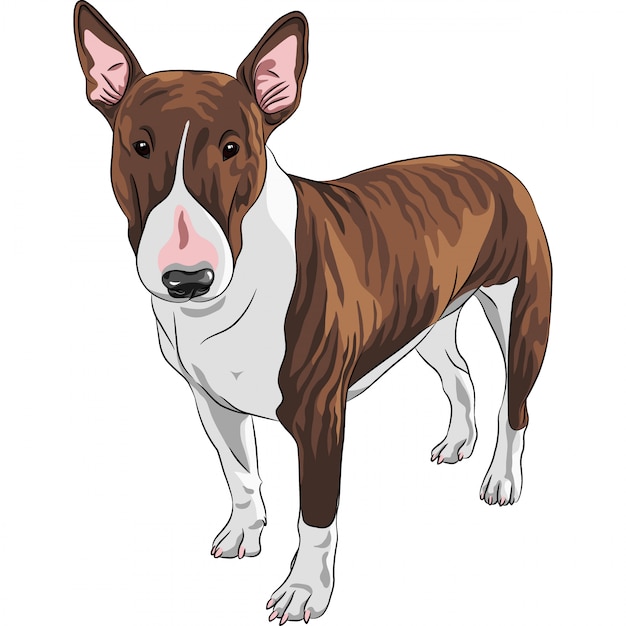 smiling cartoon Bull Terrier Dog breed