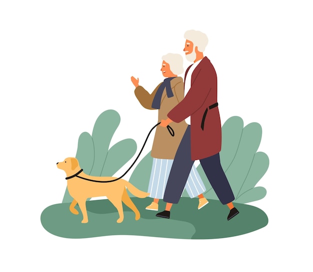 Smiling elderly couple walking with dog at park vector flat illustration. happy mature man and woman talking spending time together outdoor isolated on white. family enjoying promenade with pet.