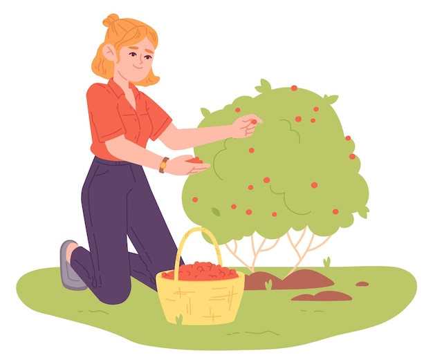 Вектор Улыбающаяся девушка собирает ягоды женщина работает на ферме