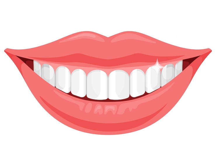 Vector smiling mouth with white equal teeth healthy teeth and dental care flat vector