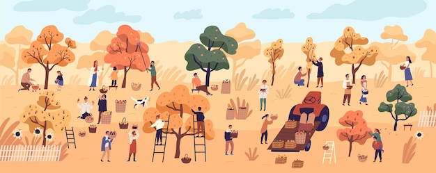 Vector smiling people gathering fruits in orchard or at farm. cute happy young men and women picking apples in garden. autumn harvest, seasonal agricultural work. flat cartoon colorful vector illustration.