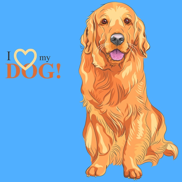 Вектор Улыбающаяся рыжая подружейная собака породы золотистый ретривер сидит на синем фоне