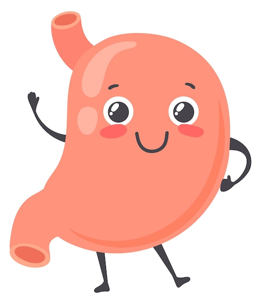 Vector smiling stomach character kawaii cartoon smiling mascot