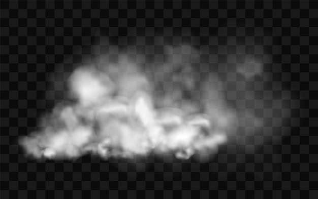 Vector smoke cloud stream transparent fog effect white vector cloudiness mist or smog background vector illustration isolated transparent special effect