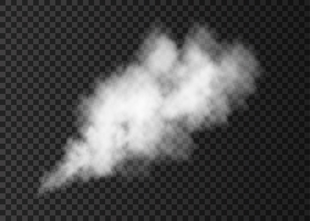 Smoke puff  isolated on transparent background.  white  steam explosion special effect.  realistic  vector  column of  fire fog or mist texture.