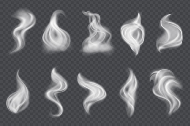 Smoke vector collection isolated transparent background white dust smoke or fog clouds isolated