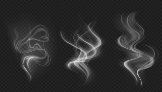 Vector smoke vector collection isolated transparent background