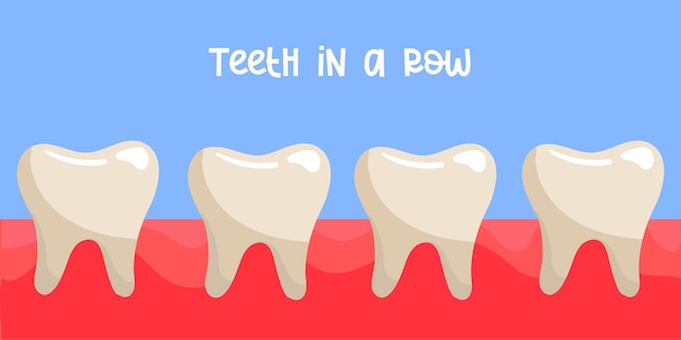 Smooth and healthy teeth in a row on a blue background Dental vector illustration in a flat style