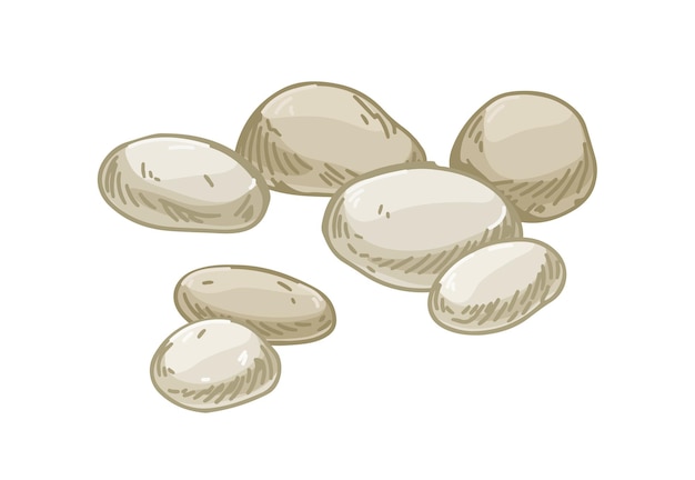 Smooth pebbles, quartz stones. Group of polished cobbles. Weathered cobblestones. Beach marine rocks. Realistic detailed hand-drawn vector illustration isolated on white background.