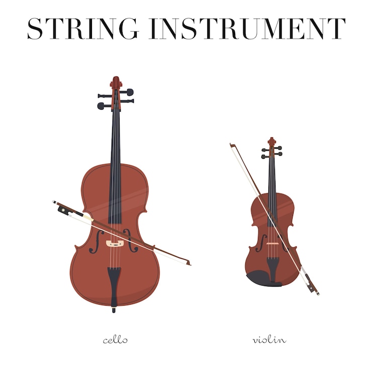 Vector snaarinstrumenten cello en viool
