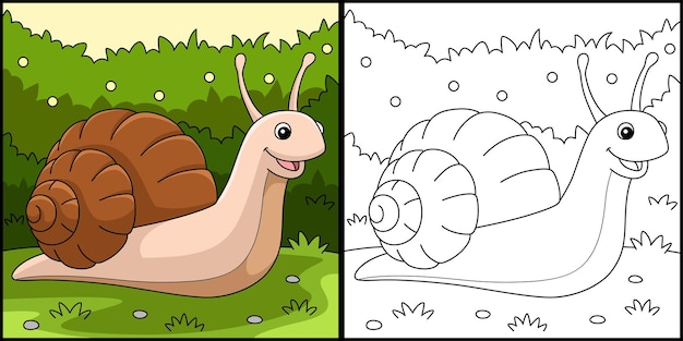 Snail animal coloring page colored illustration