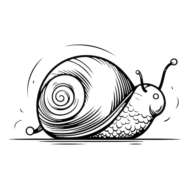 Vettore illustrazione vettoriale in stile sketch disegnato a mano da snail