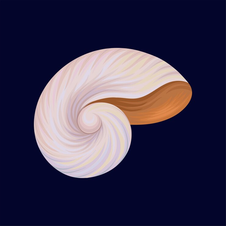 Vector snail house or shell empty shell of a sea mollusk vector illustration on a dark blue background