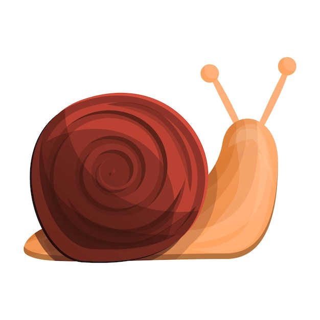 Snail icon Cartoon of snail vector icon for web design isolated on white background