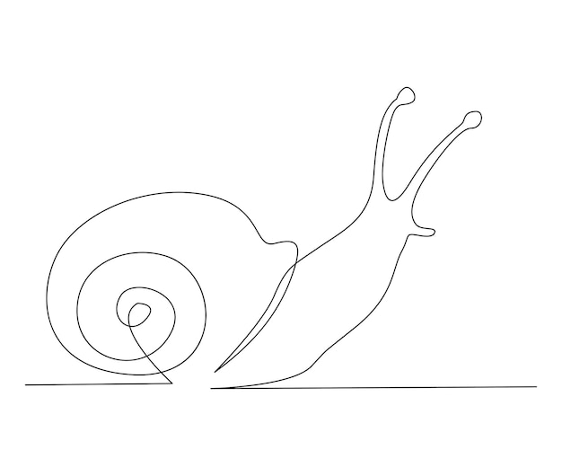 A snail is drawn on a white background.