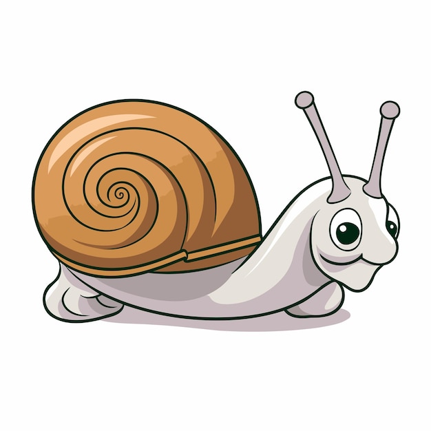 Snail isolated on white background Cartoon snail Vector illustration