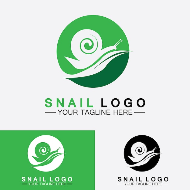 Snail logo creative modern design inspiration vector