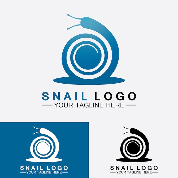 Snail logo template vector icon illustration design