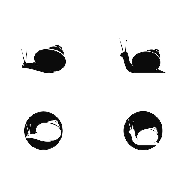 Snail logo template vector icon illustration