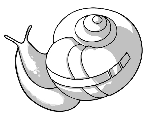 Vector snail in shades of gray vector drawn by hand for coloring books