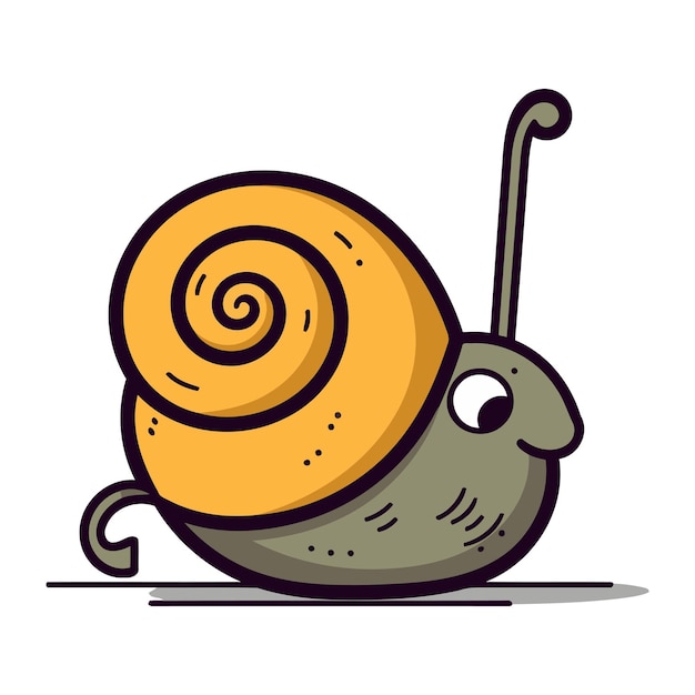 Snail Vector illustration of a snail on a white background