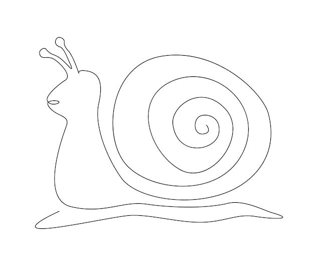 A snail with a spiral pattern