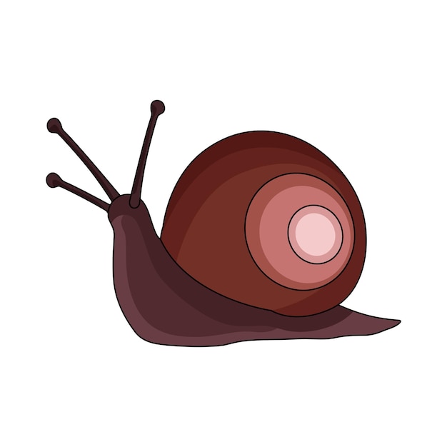 snail