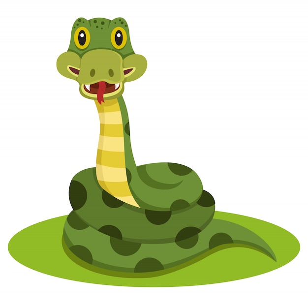 Snake animal