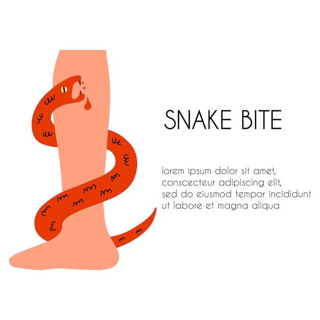 The snake bites the leg medical template with text about poisonous scaly reptiles vector hand drawn illustration