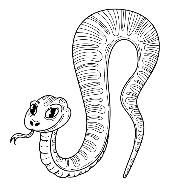 Snake boa sketch Hand drawn line art illustration