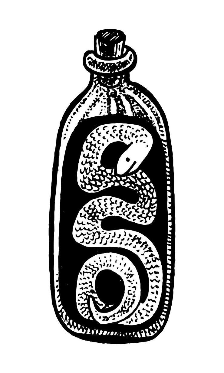 Vector snake in a bottle hand drawn sketch