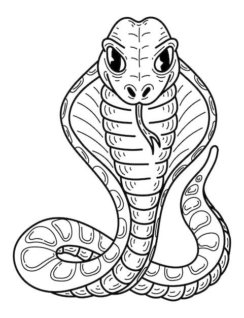 Vector snake cobra schets met de hand getekende lijn kunst illustratie.