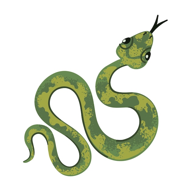 Vector snake colorful illustration