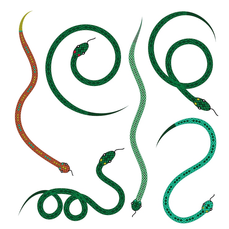 Vector snake in different poses