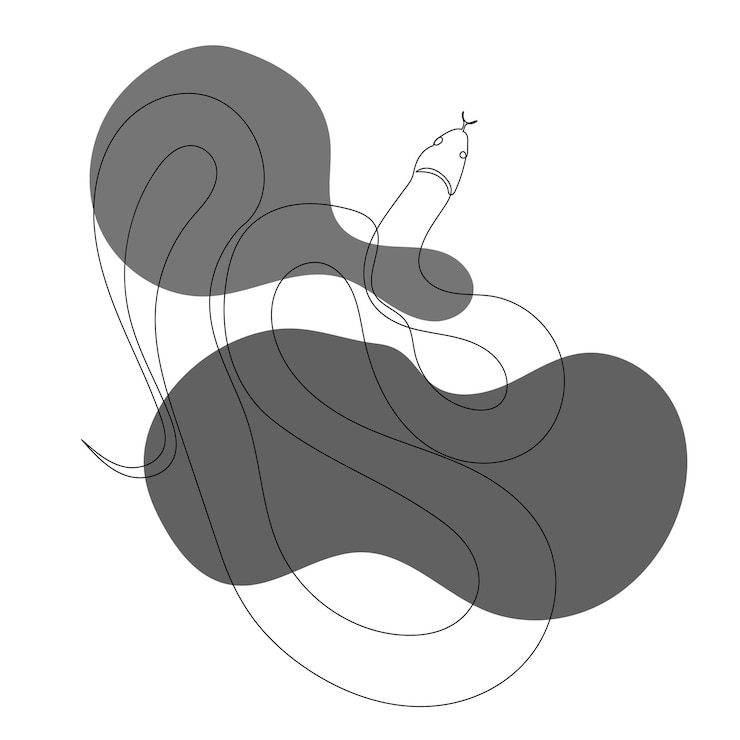 Vector snake drawing in one continuous line isolated vector