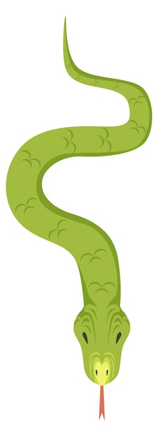 Premium Vector | Snake green cartoon icon jungle reptile animal