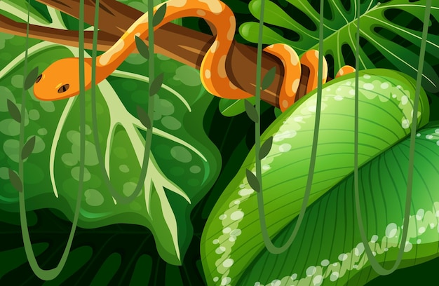 Snake hidden in the jungle