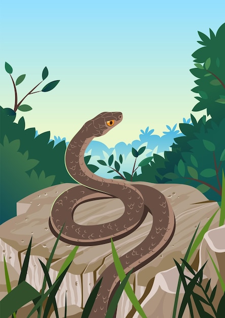 Vector snake at nature