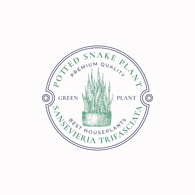 ヘビ植物のバッジまたはロゴのテンプレート手描きの鉢植えのサンセベリアと葉のスケッチ レトロなタイポグラフィとボーダー ビンテージ プレミアム ホーム ガーデニング エンブレムをフレームに