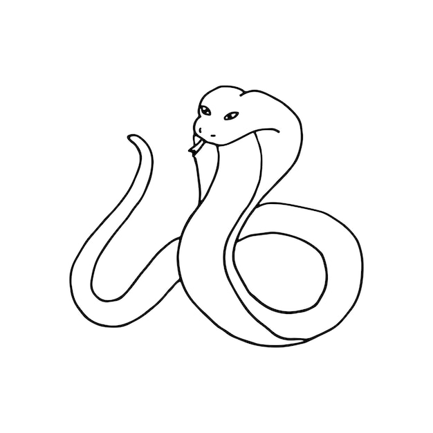 Snake reptiles scaly Reptile Doodle Vector illustration Hand drawn Outline