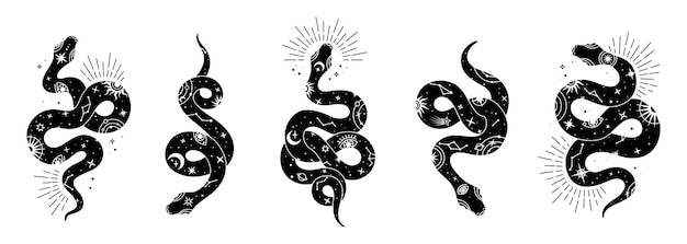 Vector snake set of mystical magic objects- moon, eyes, constellations, sun and stars. spiritual occultism symbols, esoteric objects.