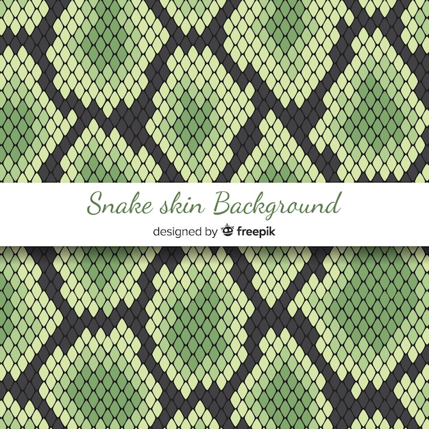 Vector snake skin background
