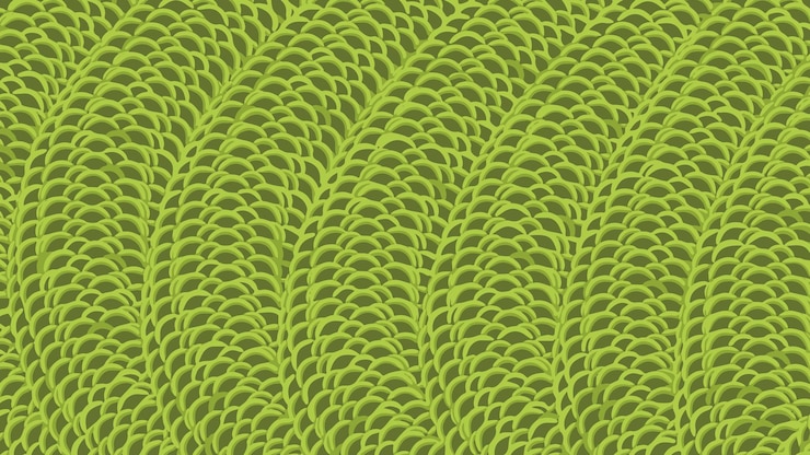 Vector snake skin pattern green color vector isolated texture of snake or crocodile skin fashion print