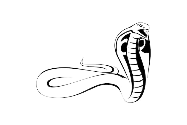 Vettore disegno grafico vettoriale serpente