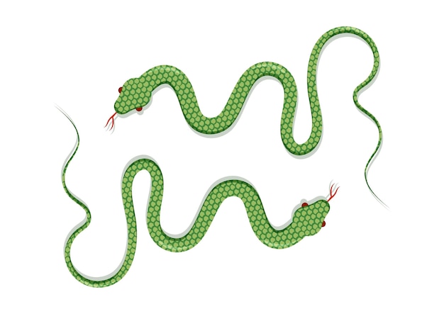 Snake Vector plat ontwerp geïsoleerd op witte achtergrond Vectorillustratie van twee groene slangen