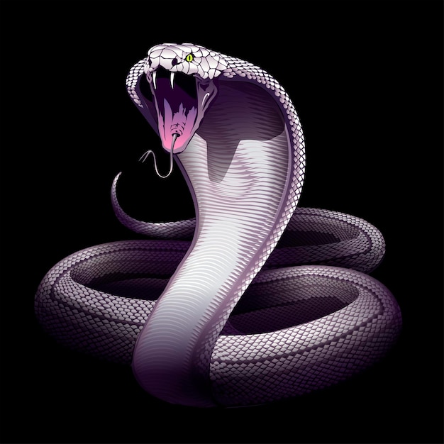 Snake white cobra illustrazione disegnata a mano di vettore del serpente nella tecnica di incisione isolata su bianco